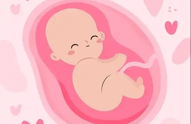 试管高成功率的秘密：鲜胚、囊胚、冻胚，你选对了吗？