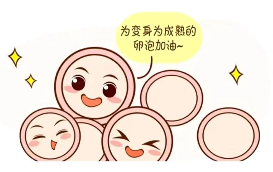 中医备孕黄金三法则：做好这3点，不管AMH多低都能怀！